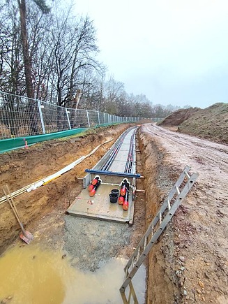 Insight into everyday internship life